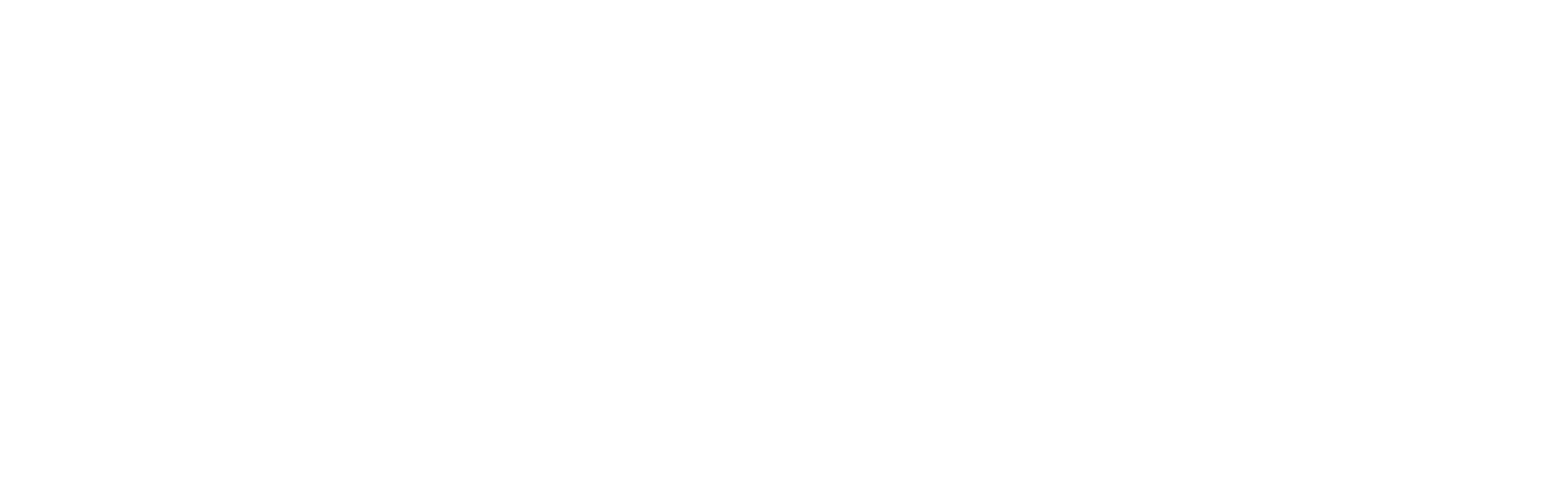 Workforce Solutions South Plains Logo